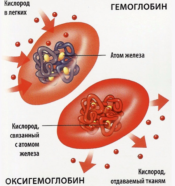 Тур де франс тренировки