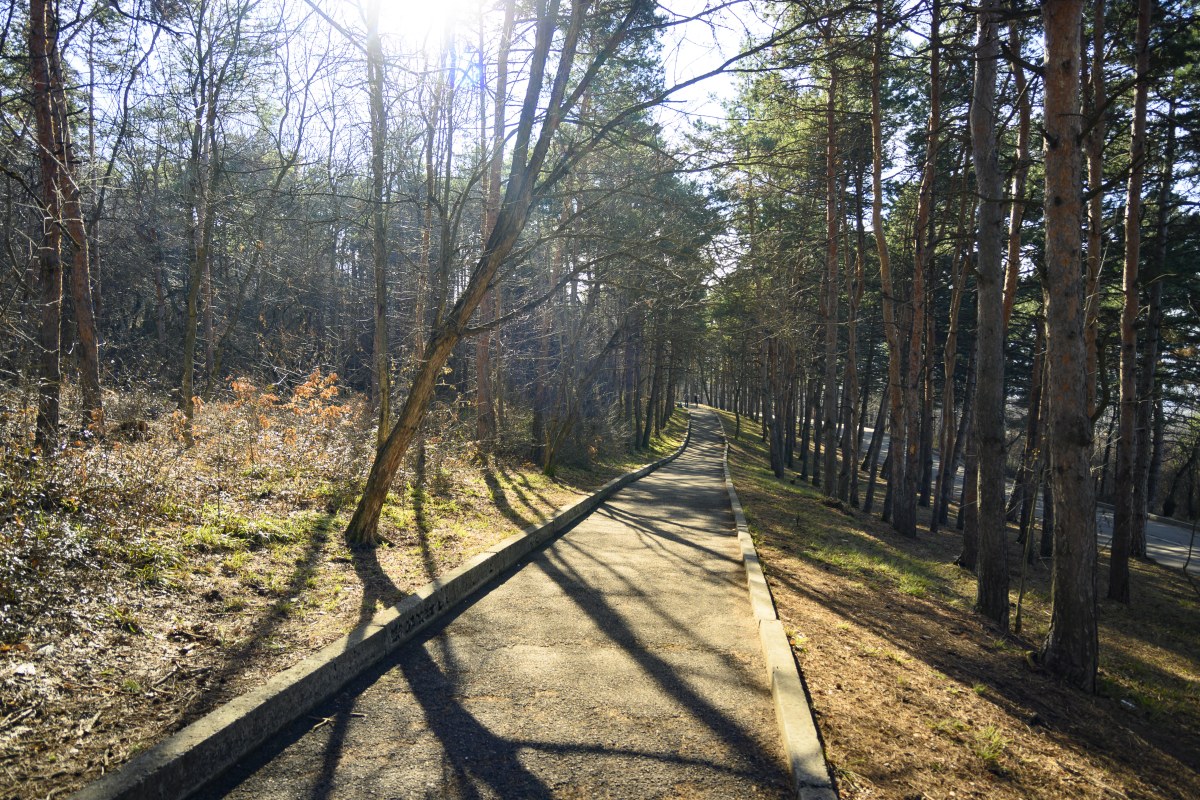 Дорога вокруг горы Машук для велопокатушек