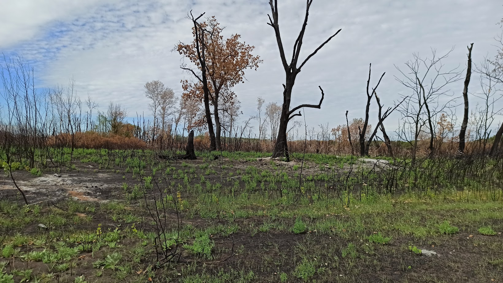 Веломаршрут вдоль Дона