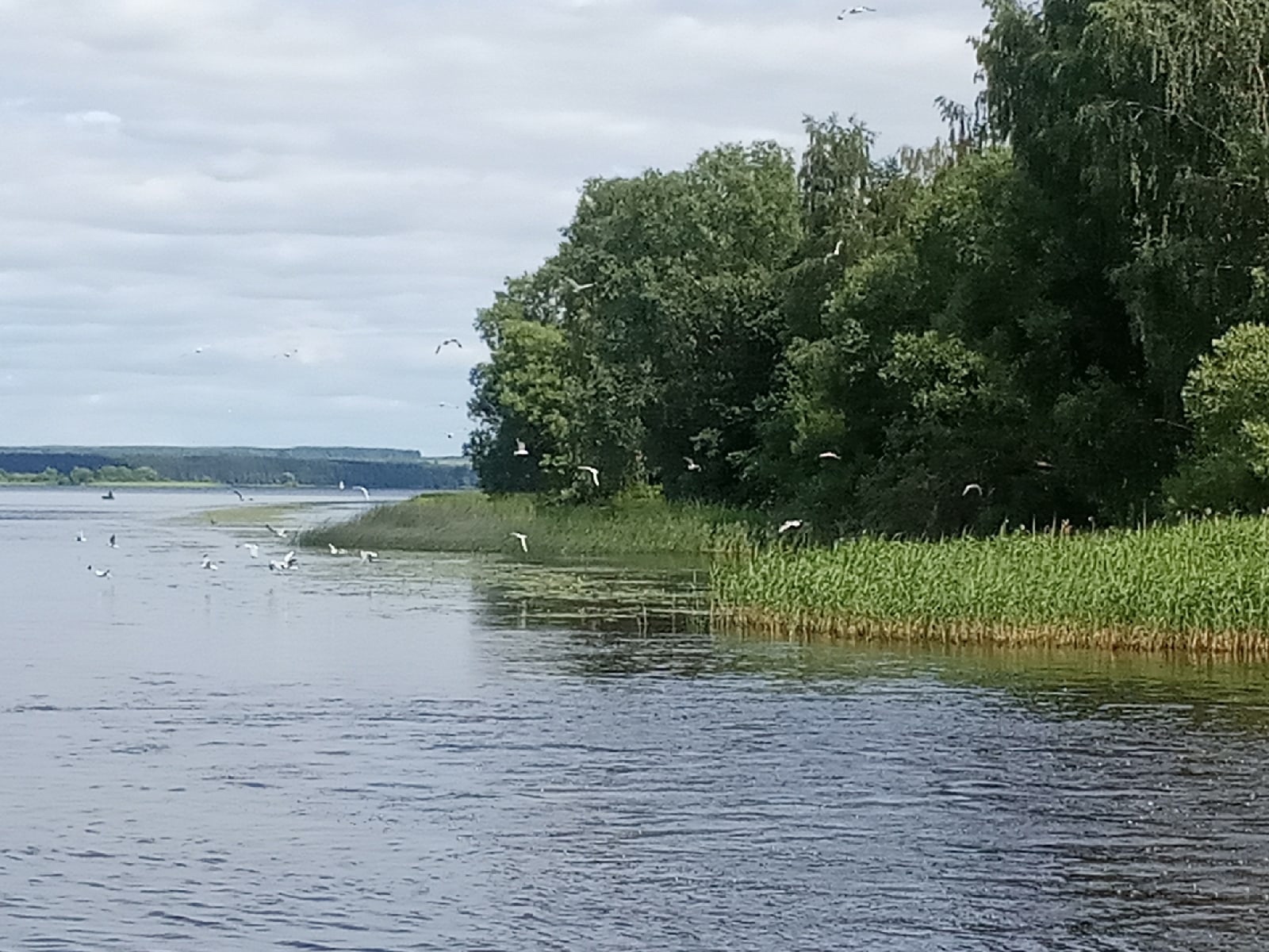 По золотому кольцу на велосипеде