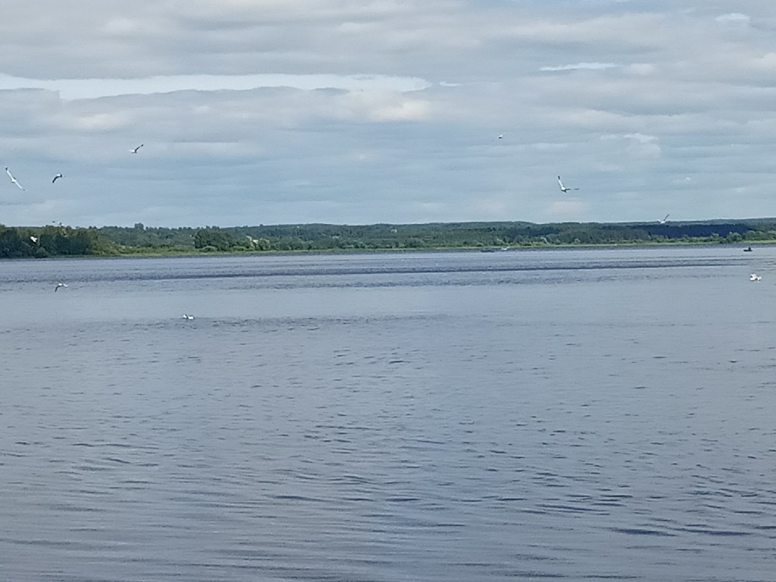По золотому кольцу на велосипеде