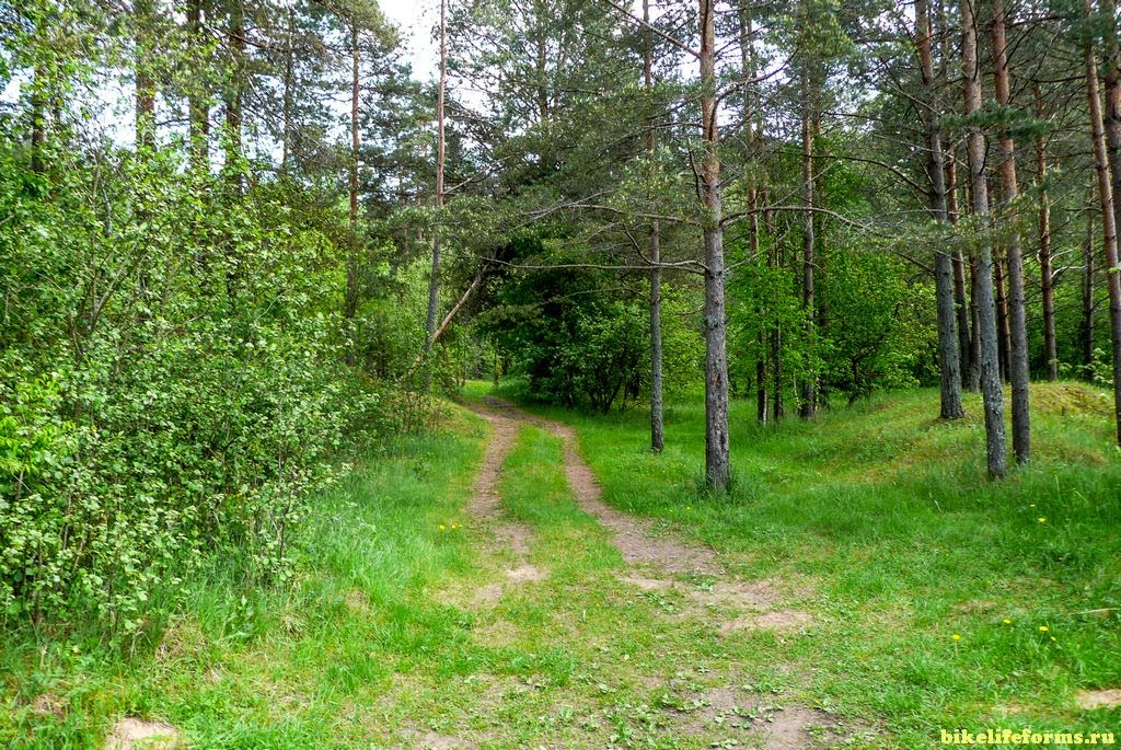 Велопутешествие по Тверской области. Велоистория