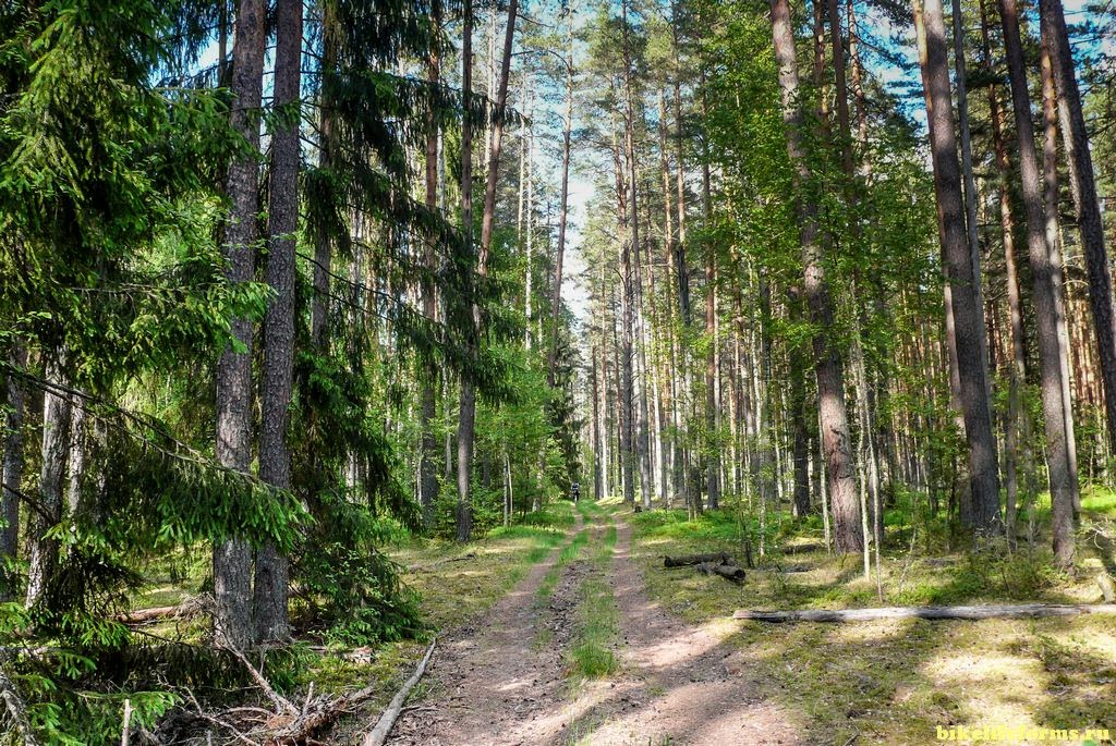 Велопутешествие по Тверской области. Велоистория