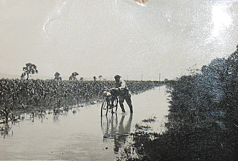 1926 Г. МЕКСИКА. ИНОГДА ВМЕСТО ДОРОГ ПРИХОДИЛОСЬ ДВИГАТЬСЯ ПО КАНАВАМ С ВОДОЙ. ИЗ ФОНДОВ СПОРТИВНОГО МУЗЕЯ РОССИЙСКОГО ГОСУДАРСТВЕННОГО УНИВЕРСИТЕТА ФИЗИЧЕСКОЙ КУЛЬТУРЫ