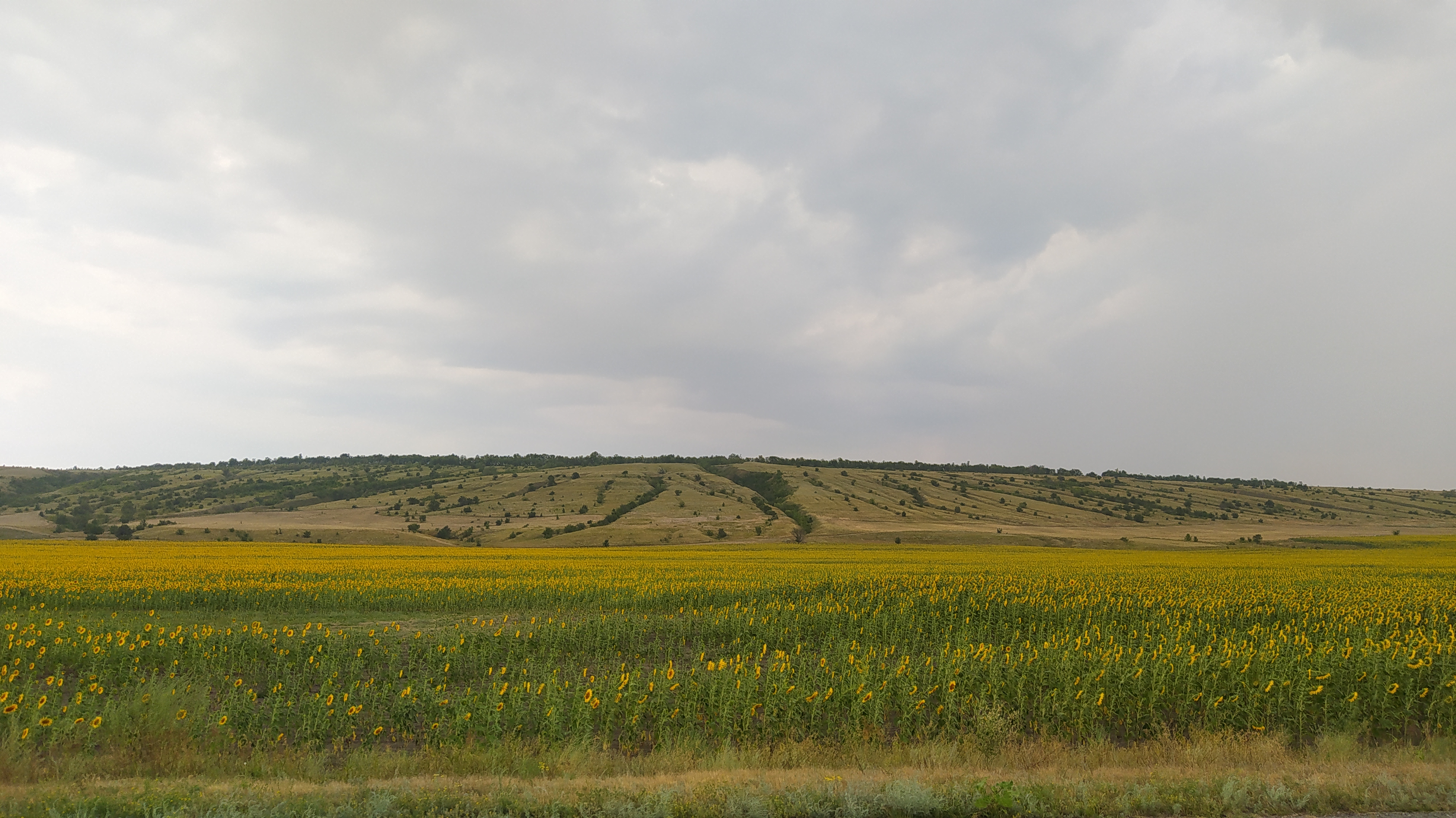 Хутор Глазуновка, Кумылженский район