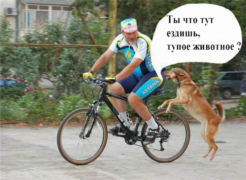 Велосипедизм, 