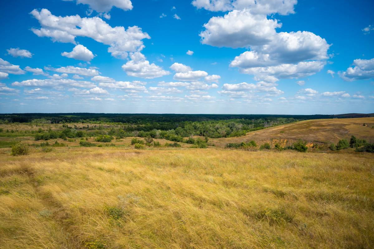 Хутор Мироничев, Волгоградская область. Вид с кургана