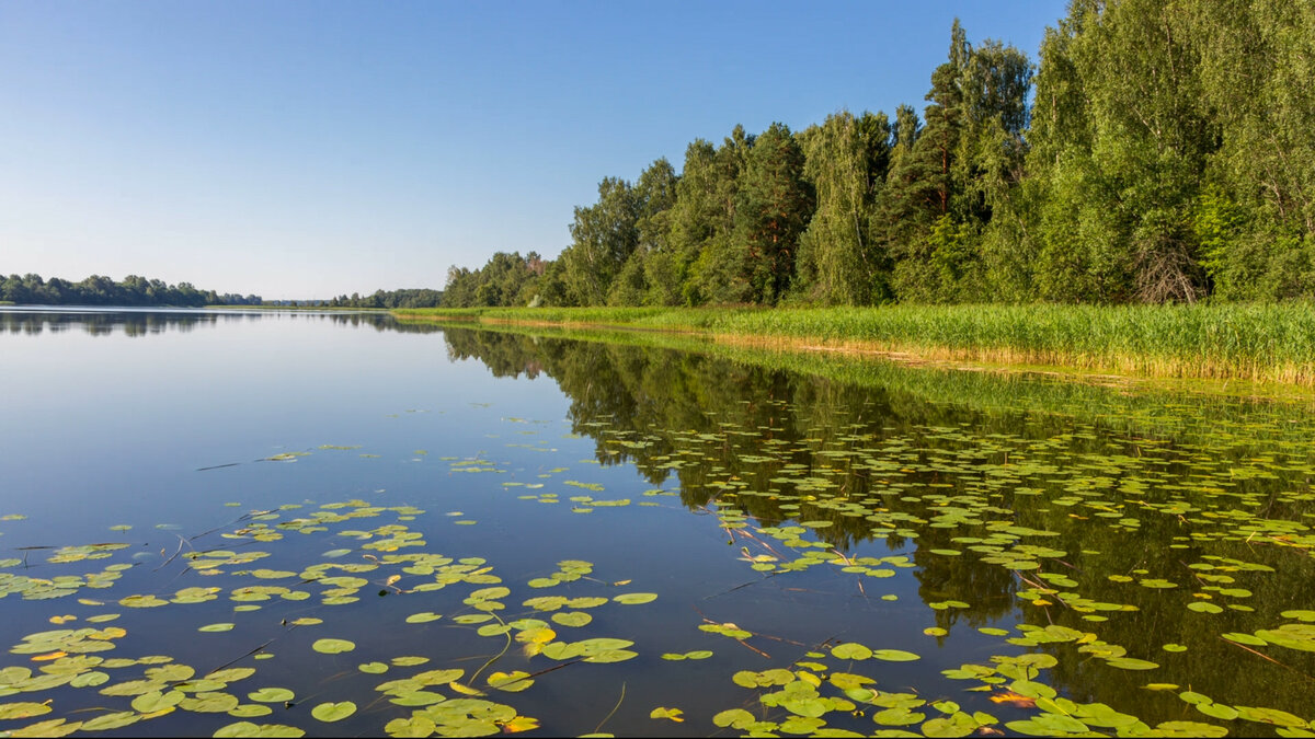 Веломаршрут: Вышневолоцкое водохранилище