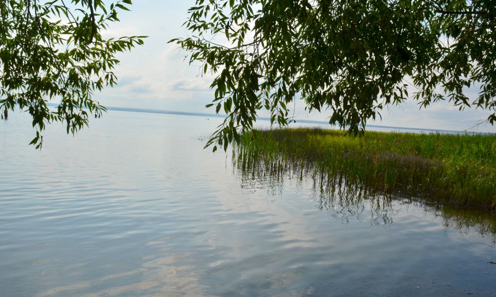 Веломаршрут ярославской области. Плещеево озеро