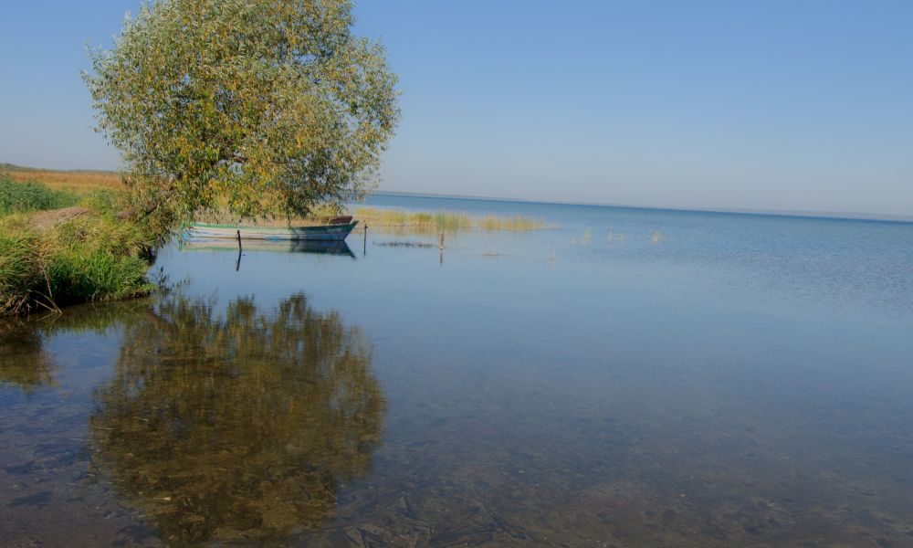 Веломаршрут ярославской области. Плещеево озеро