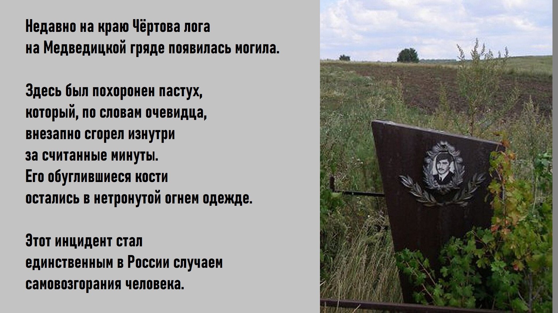 В области также обнаружены удивительные деревья, которые растут в необычной "танцующей" форме