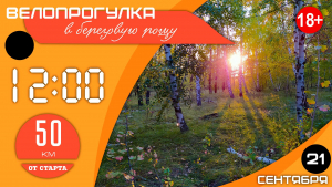 Велопрогулка в березовую рощу
