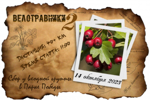 Велотравники 2: велопрогулка за боярышником