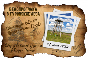 Велопрогулка в Гуровские леса