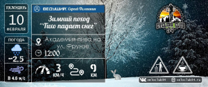Зимний поход "Тихо падал снег"