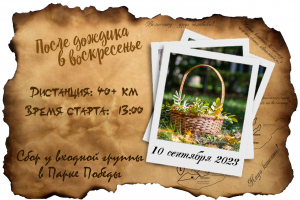 Велопрогулка вокруг озера Грязное