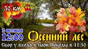 Велопрогулка по осеннему лесу