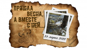 Первая весенняя велопрогулка
